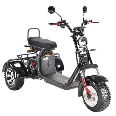 Scooter électrique City Coco Stable Trike 2000W